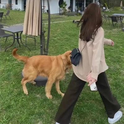 飞行课
